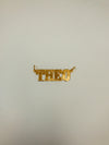 10k Gold Nameplate Theo